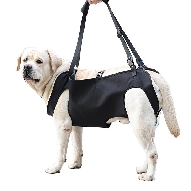 Arnés de Asistencia para Perro - Harness Climbing Adjustable reseña y precio