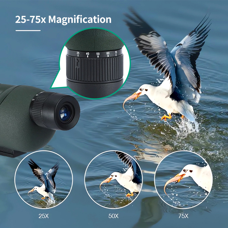 Telescopio Monocular de alta p - Outdoor Adventure Watches reseña y precio