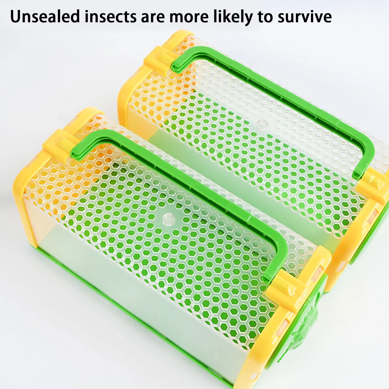 Caja de observación de insecto - Outdoor Adventure Learning reseña y precio